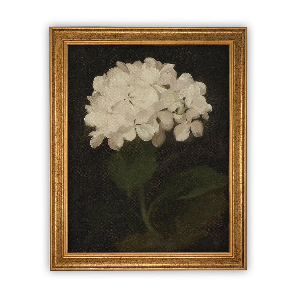 Framed Canvas Botanical Floral Art #BOT-103