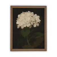 Framed Canvas Botanical Floral Art #BOT-103