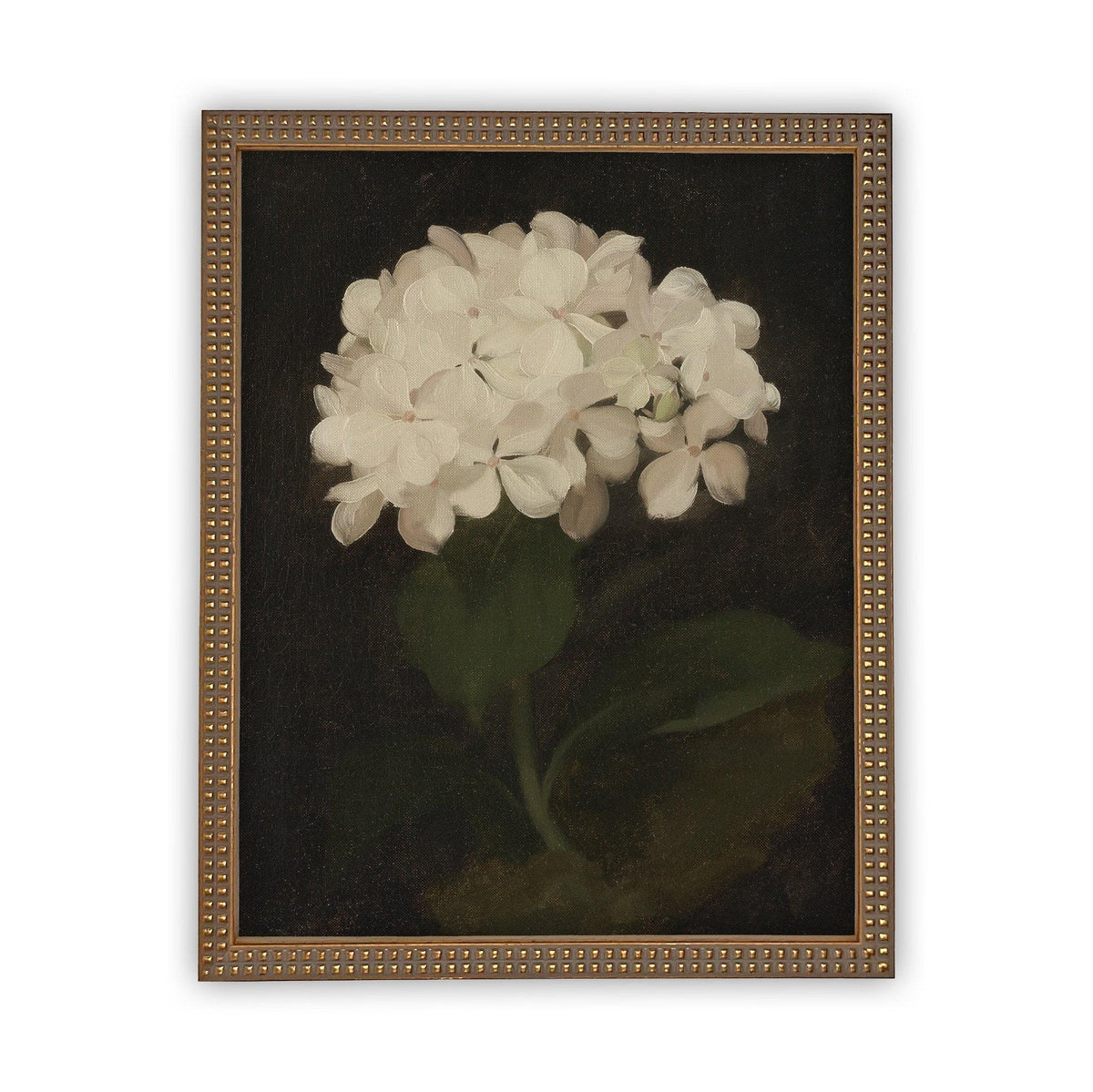 Framed Canvas Botanical Floral Art #BOT-103