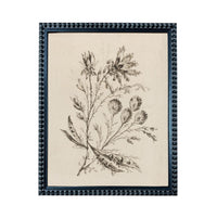 The image is a framed print depicting a detailed botanical illustration of a plant with various flowers and leaves.
