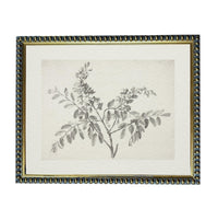 A framed black and white botanical illustration depicting a branch with leaves and flowers.