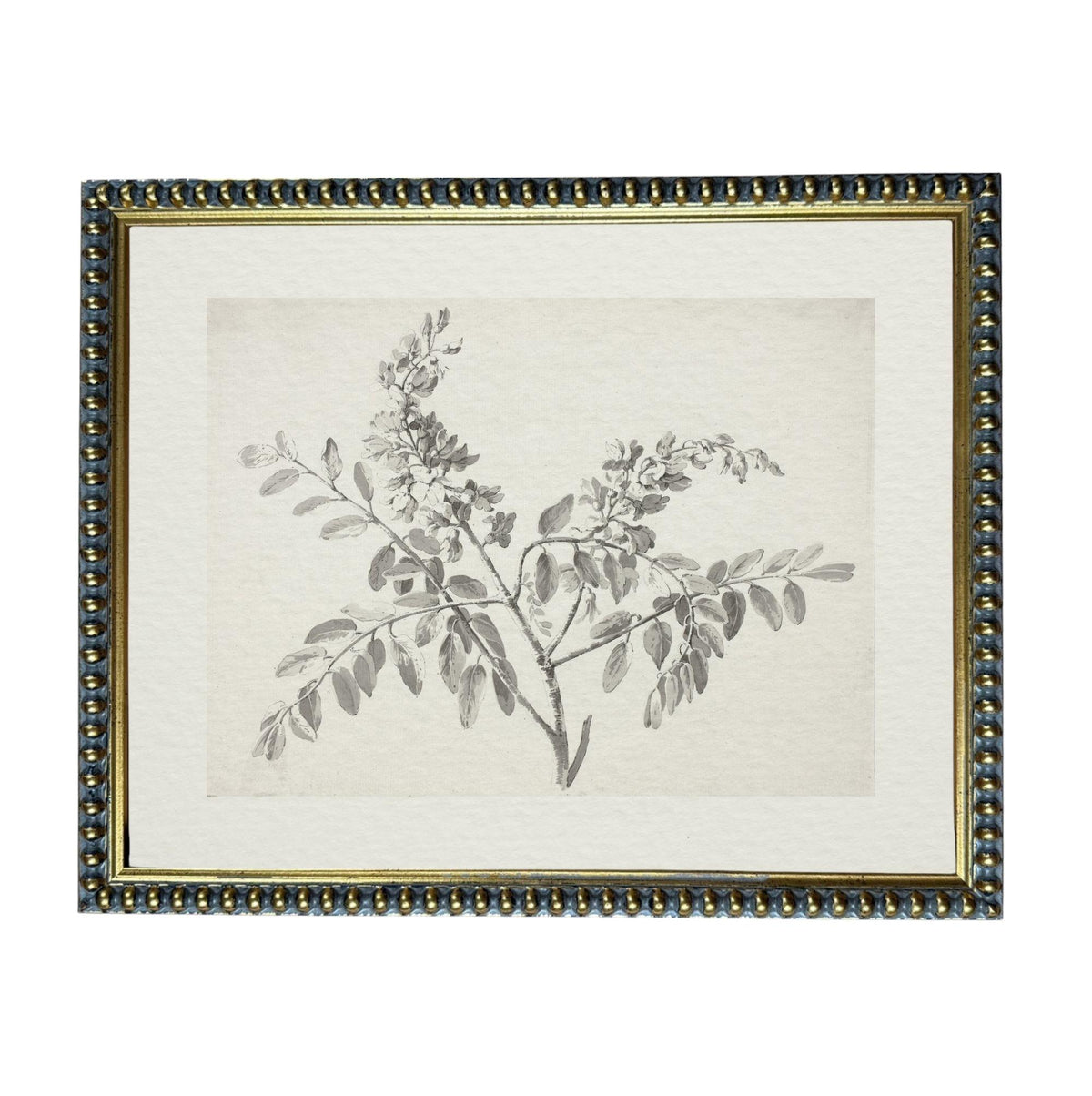 A framed black and white botanical illustration depicting a branch with leaves and flowers.