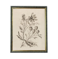 The image is a framed print depicting a detailed botanical illustration of a plant with various flowers and leaves.