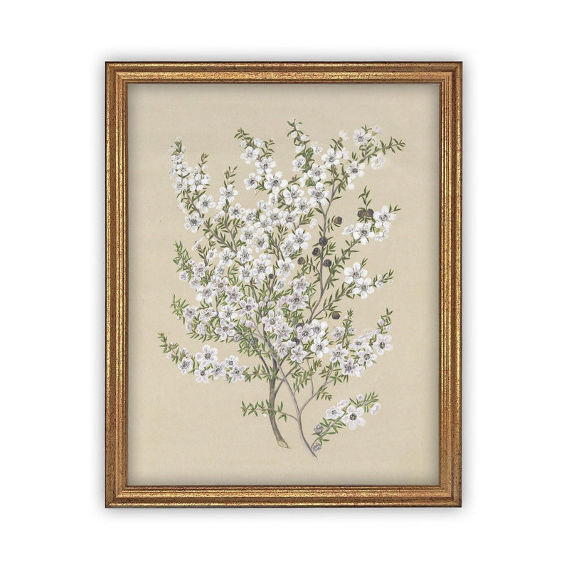 Vintage Framed Canvas Art #BOT-130