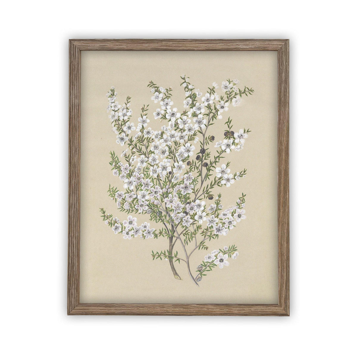 Vintage Framed Canvas Art #BOT-130