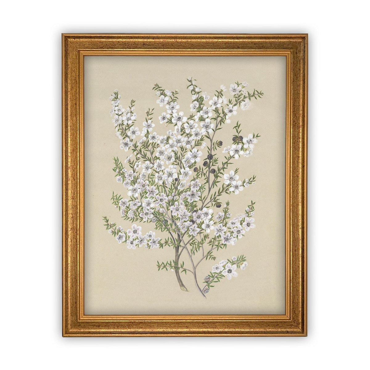 Vintage Framed Canvas Art #BOT-130