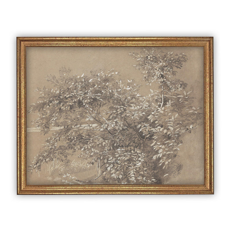 Vintage Framed Canvas Art #BOT-112