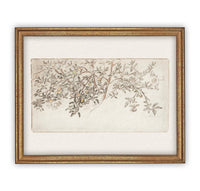 Framed Citrus Tree Sketch #BOT-111