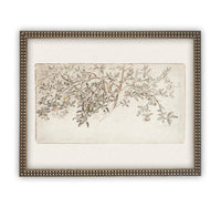 READY to SHIP 24X36 Framed Vintage Citrus Tree Print: Botanical Sketch Canvas Art