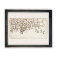 READY to SHIP 24X36 Framed Vintage Citrus Tree Print: Botanical Sketch Canvas Art