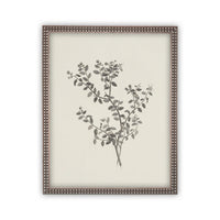 Vintage Framed Canvas Art Botanical Sketch #BOT-118