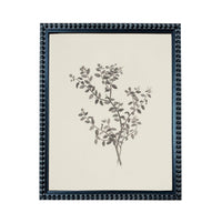A framed black and white illustration of a plant with leaves and branches.