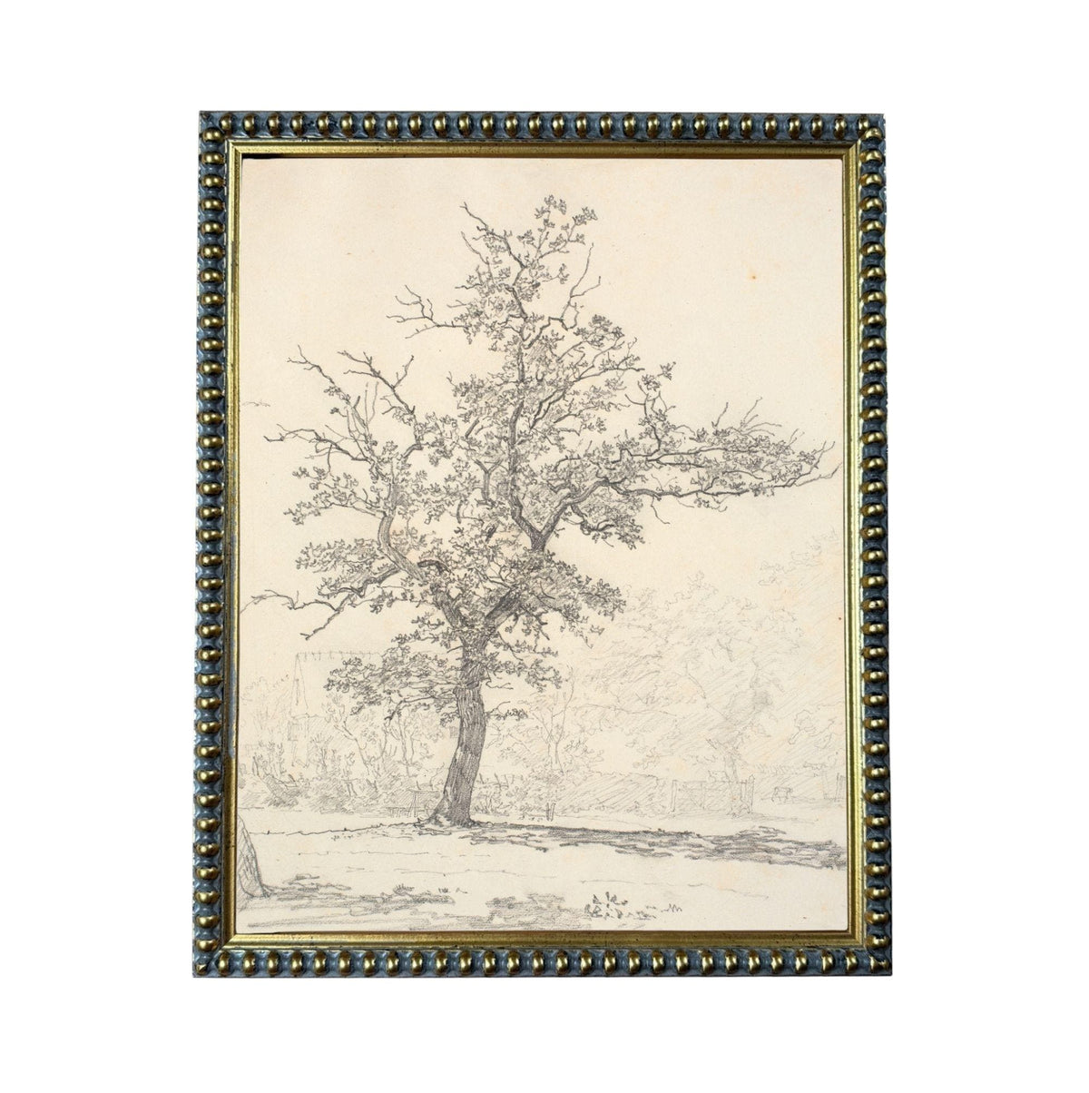 A black and white sketch of a tree with a detailed and intricate depiction of its branches and foliage.