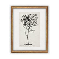 Framed Canvas Art #BOT-124