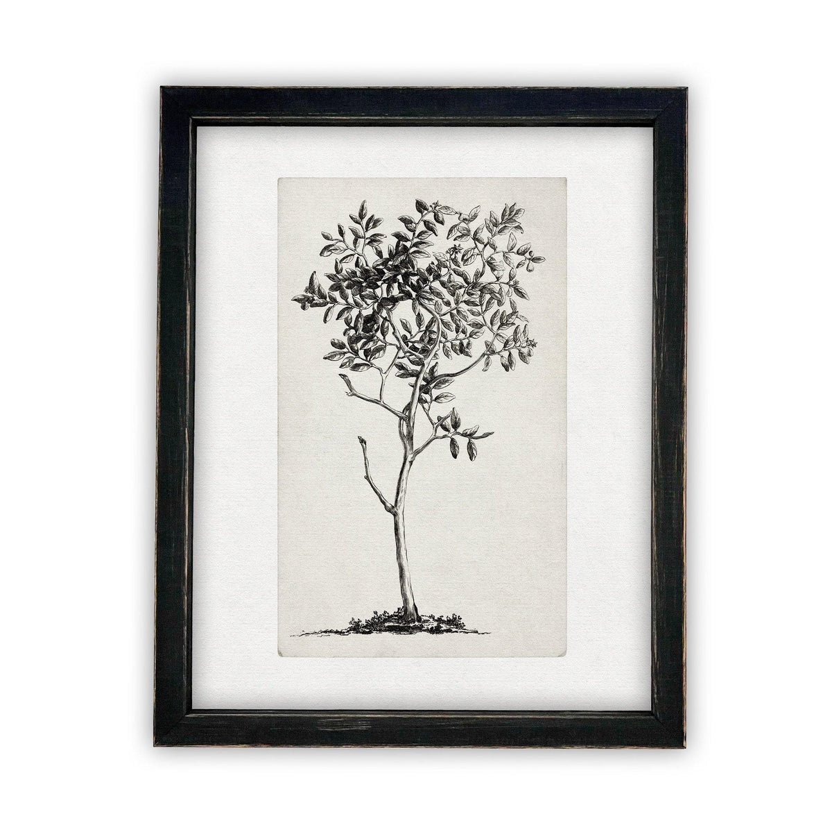 Framed Canvas Art #BOT-124