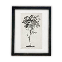 Framed Canvas Art #BOT-124