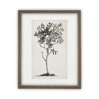 Framed Canvas Art #BOT-124