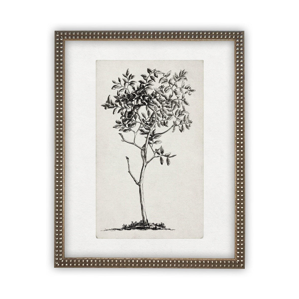 Framed Canvas Art #BOT-124