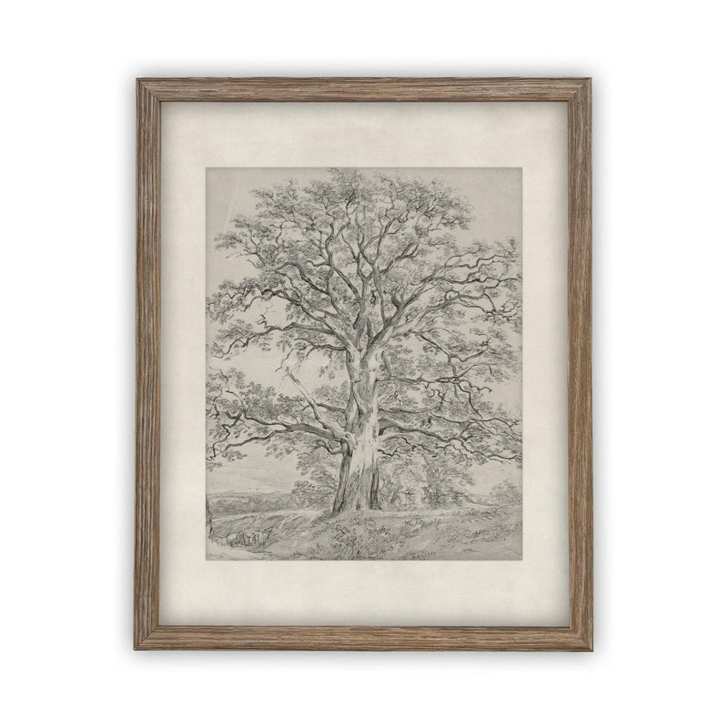 Vintage Framed Canvas Art #BOT-121