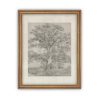 Vintage Framed Canvas Art #BOT-121
