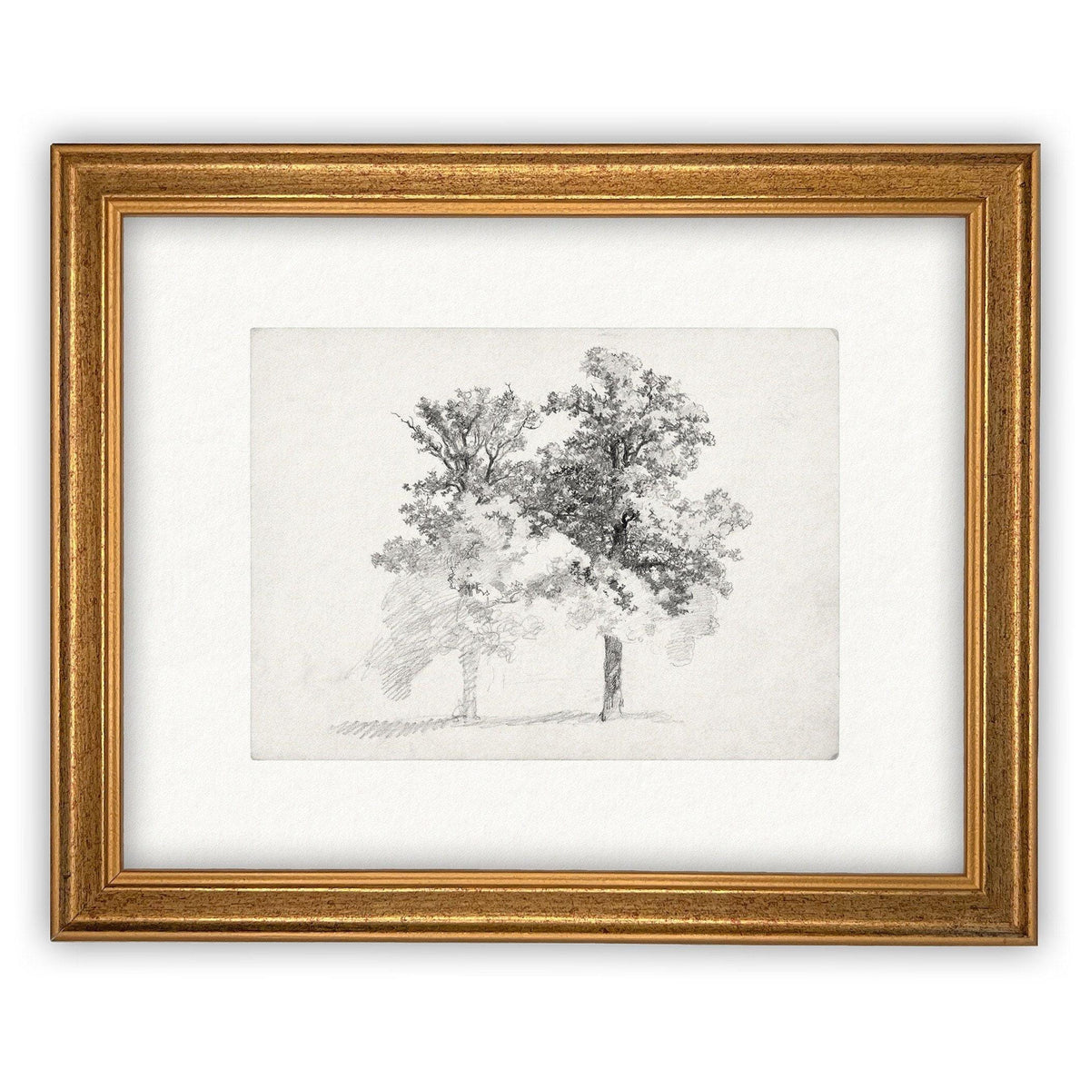 READY TO SHIP 16x20 Framed Canvas Print: Black and White Tree Sketch