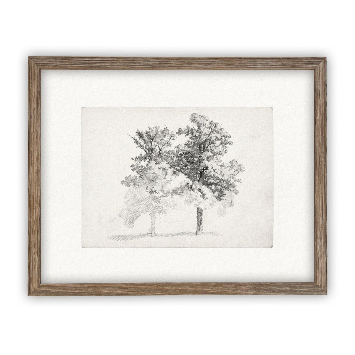 READY TO SHIP 16x20 Framed Canvas Print: Black and White Tree Sketch