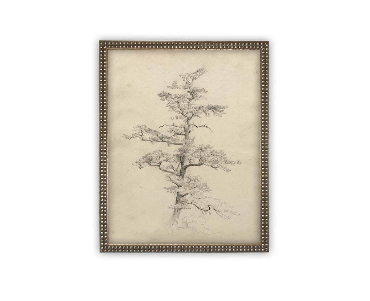 READY to SHIP 16X20 Framed Vintage Botanical Canvas Print: Neutral Minimalist Tree Sketch