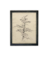READY to SHIP 16X20 Framed Vintage Botanical Canvas Print: Neutral Minimalist Tree Sketch