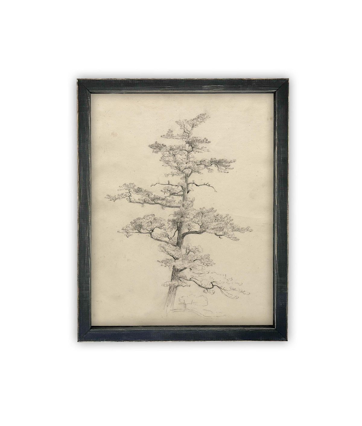 READY to SHIP 16X20 Framed Vintage Botanical Canvas Print: Neutral Minimalist Tree Sketch