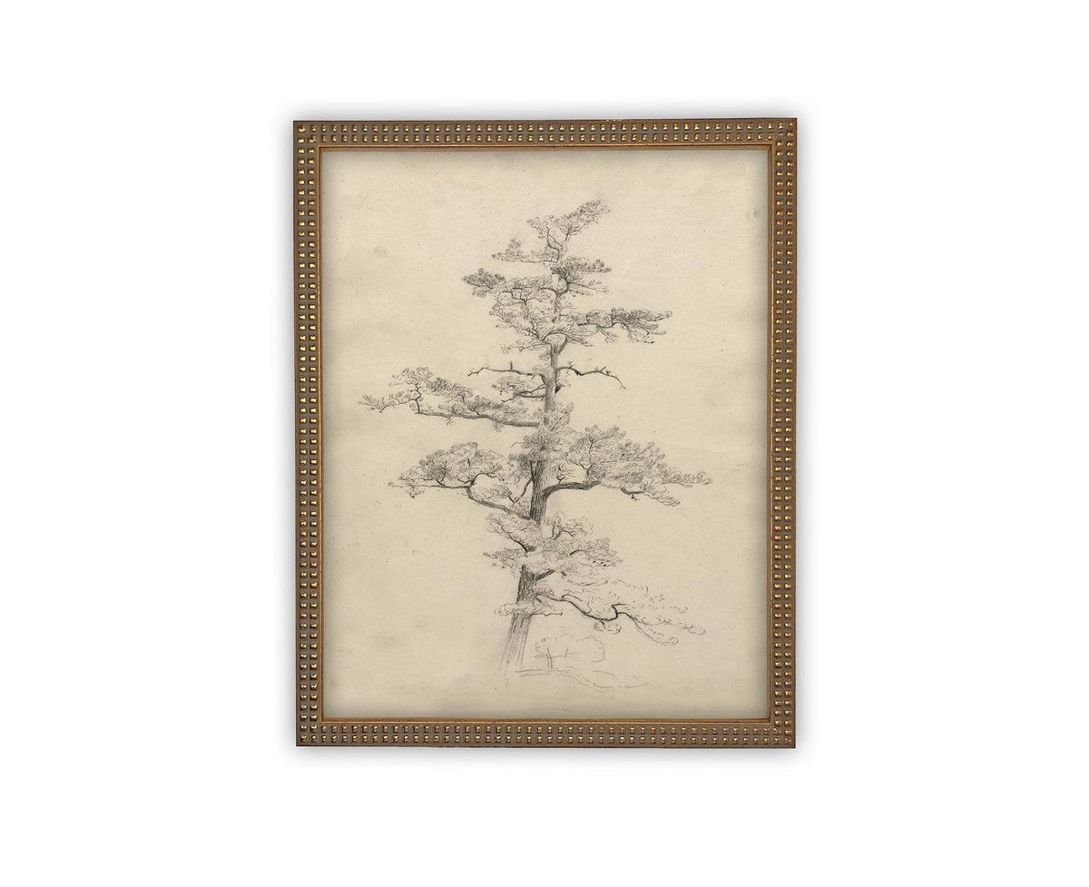 READY to SHIP 16X20 Framed Vintage Botanical Canvas Print: Neutral Minimalist Tree Sketch