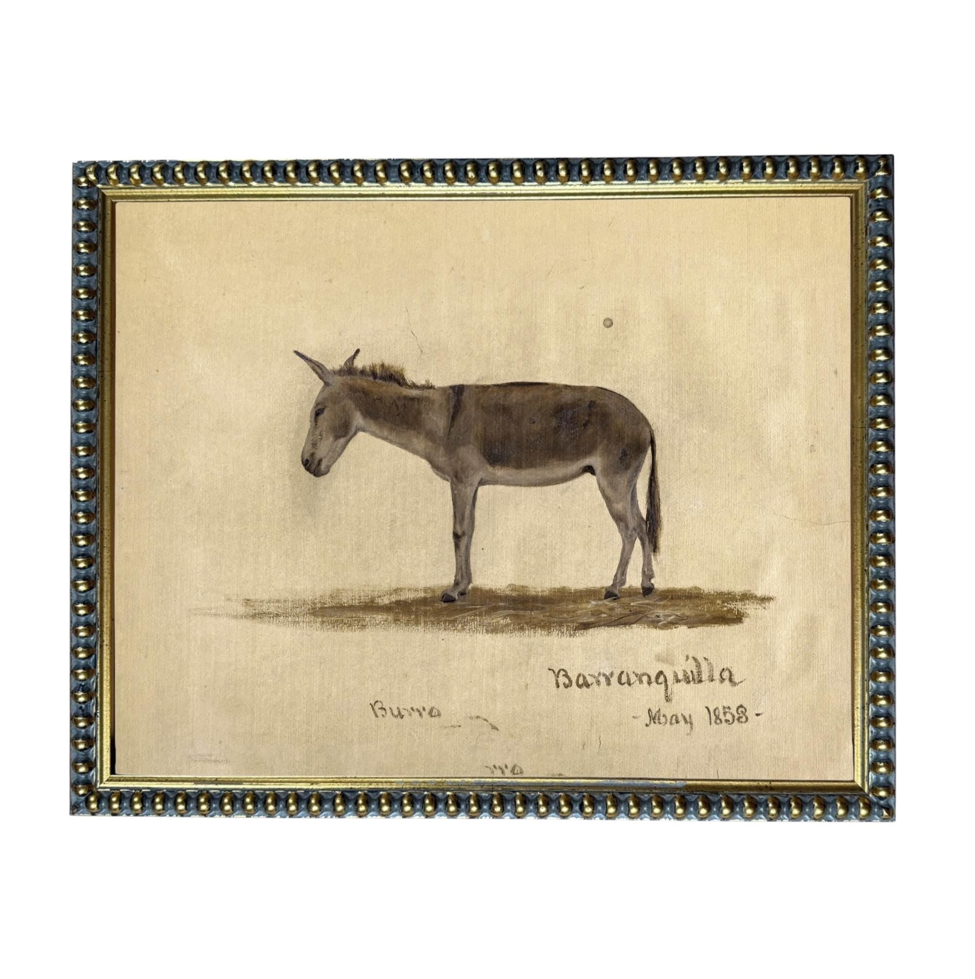 Framed Vintage Donkey Canvas Print: Farmhouse Art #A-207