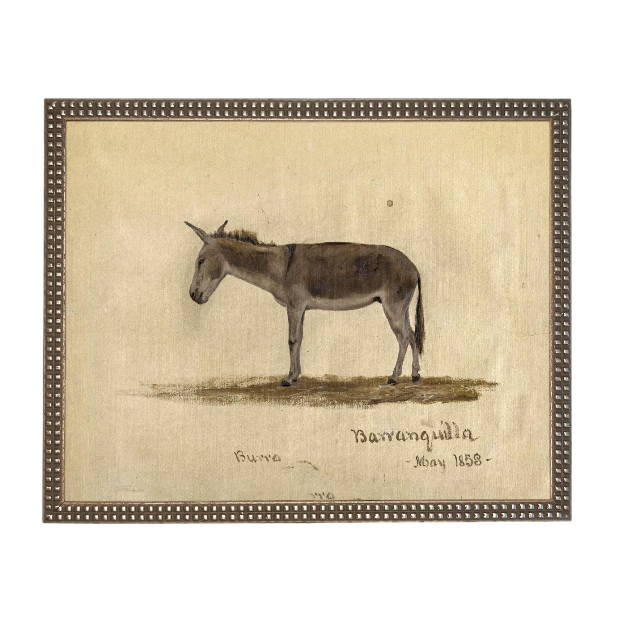 Framed Vintage Donkey Canvas Print: Farmhouse Art #A-207
