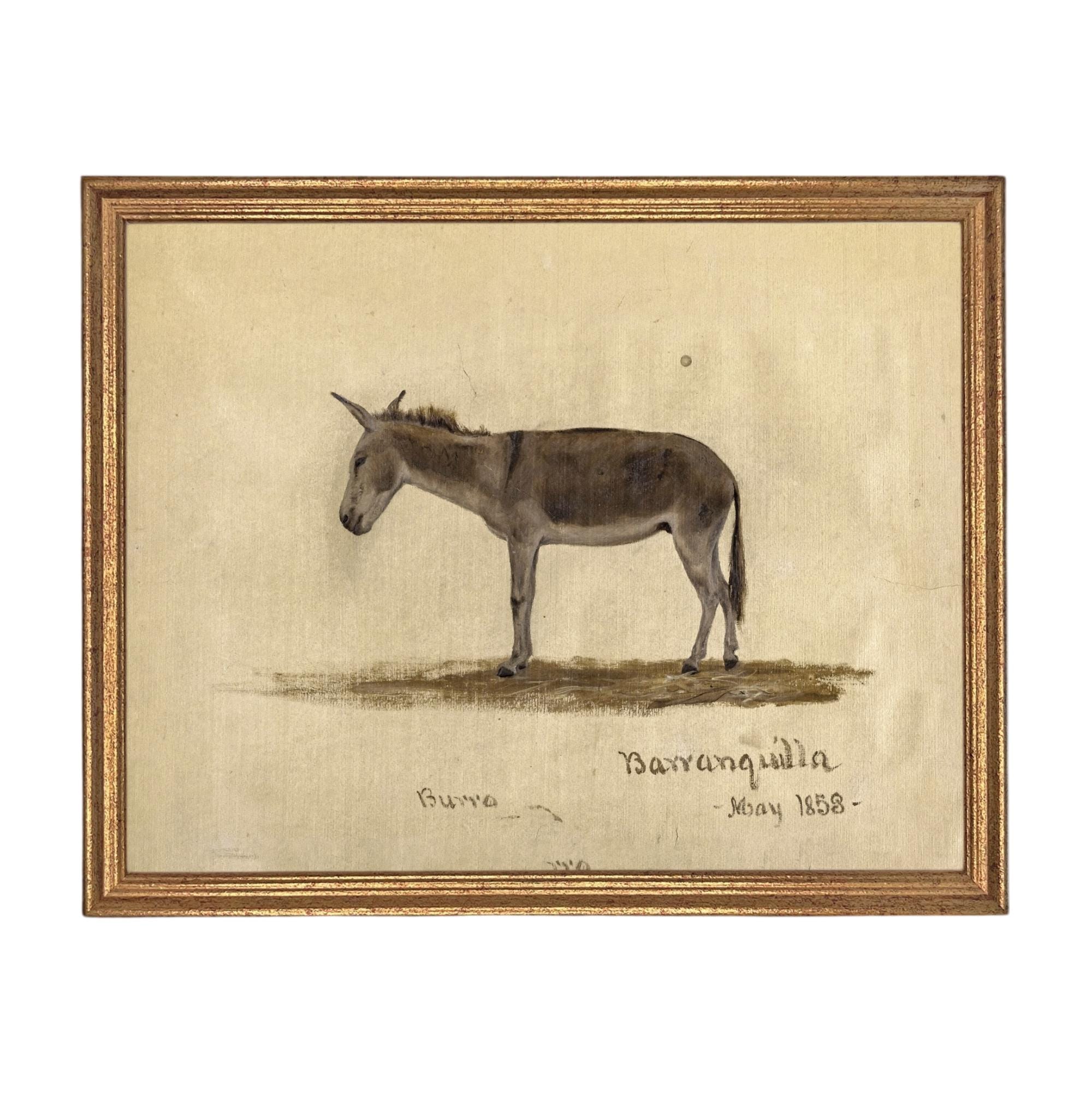 Framed Vintage Donkey Canvas Print: Farmhouse Art #A-207