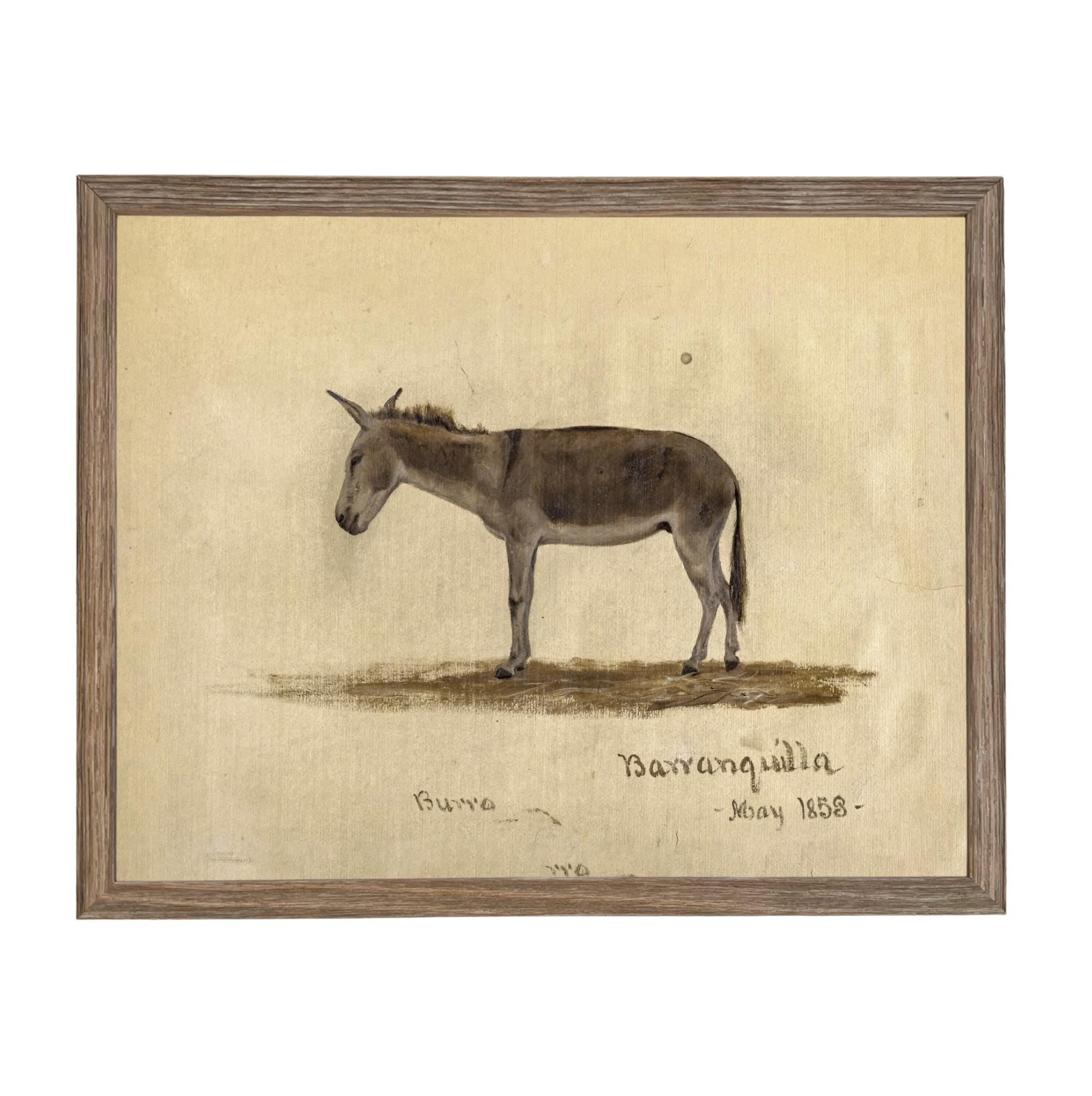 Framed Vintage Donkey Canvas Print: Farmhouse Art #A-207