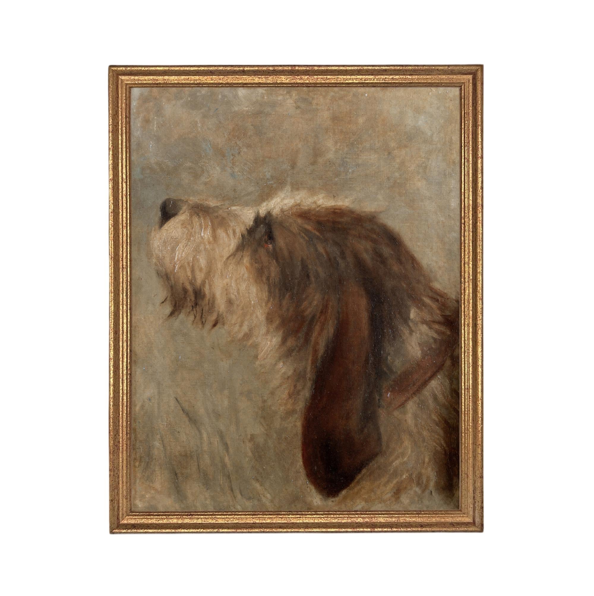 Framed Vintage Dog Canvas Print: Otterhound Dog Painting #A-208