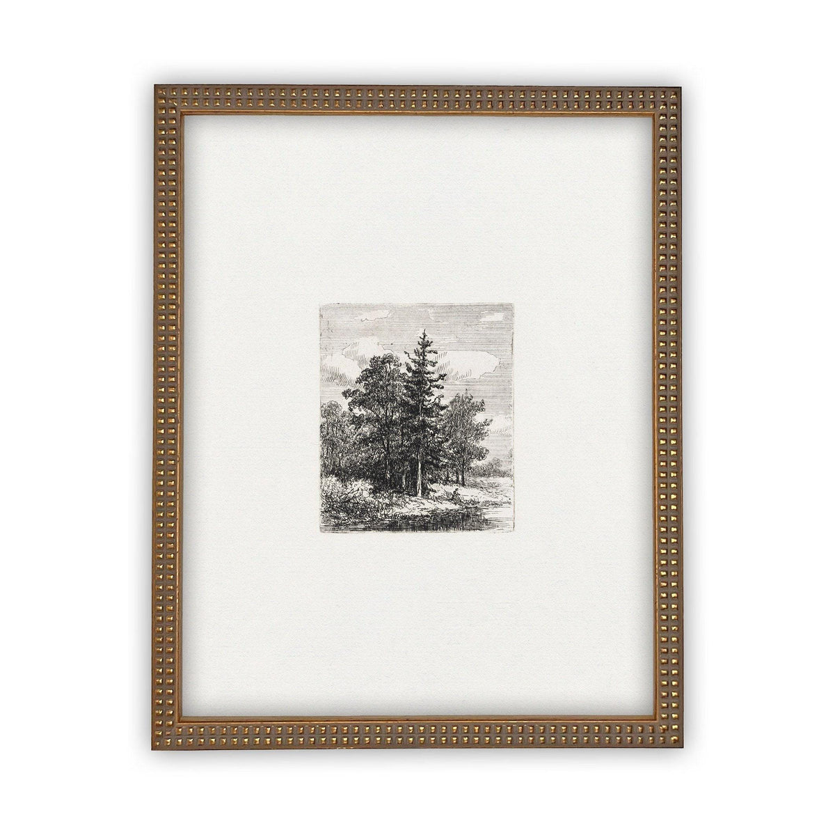 Framed Canvas Art #LAN-108