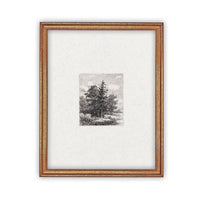 Framed Canvas Art #LAN-108