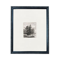 a framed black and white photograph of a tree with a white background.
