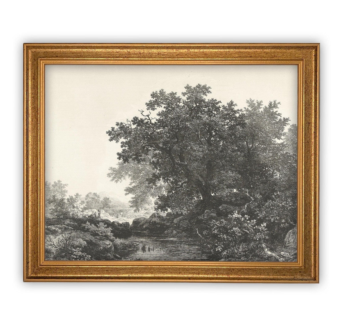 Vintage Framed Canvas Art Black White Tree Sketch #LAN-149