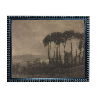 The image is a black and white photograph of a landscape with trees in the background.