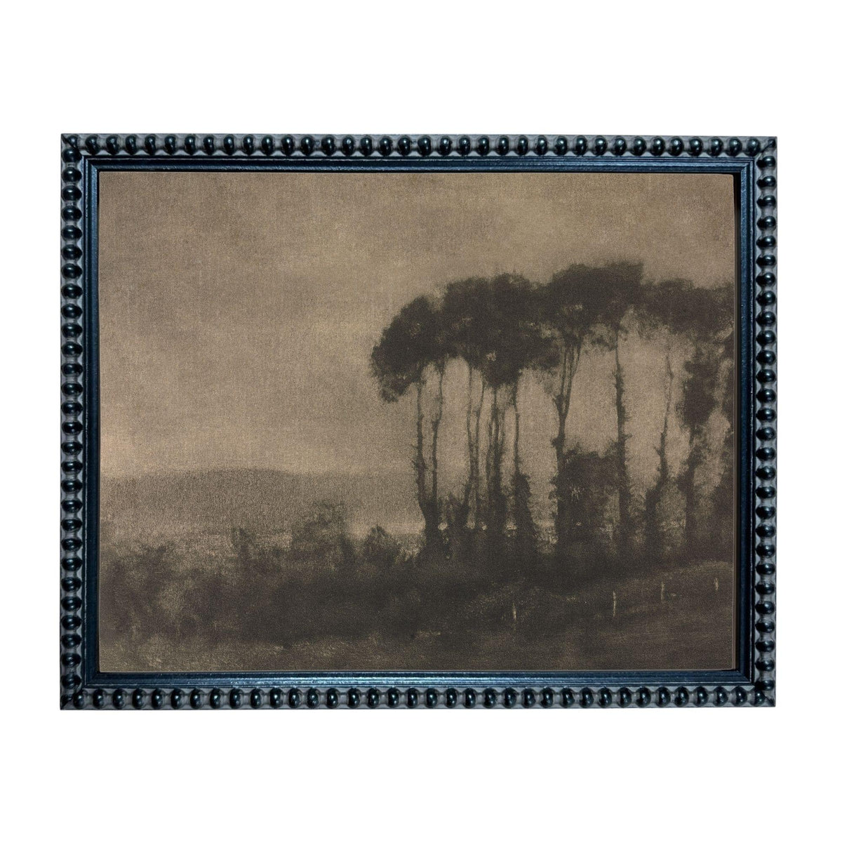 The image is a black and white photograph of a landscape with trees in the background.
