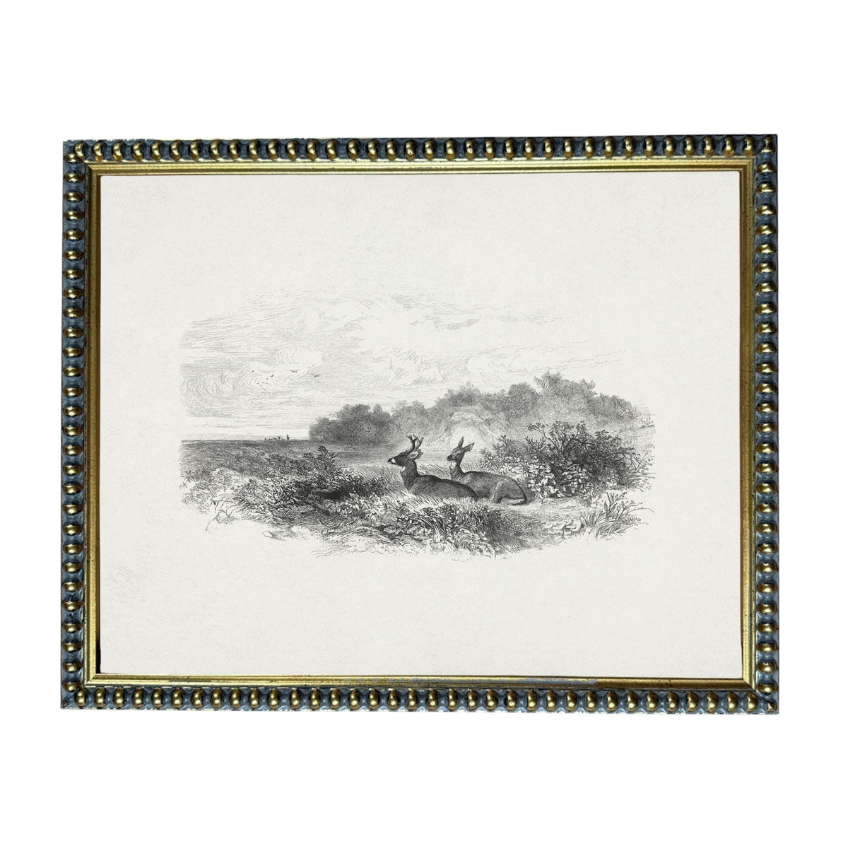The image is a black and white illustration of a deer standing in a field with trees in the background.