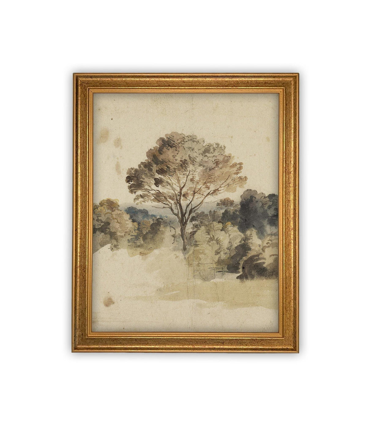 Vintage Framed Canvas Art #LAN-273