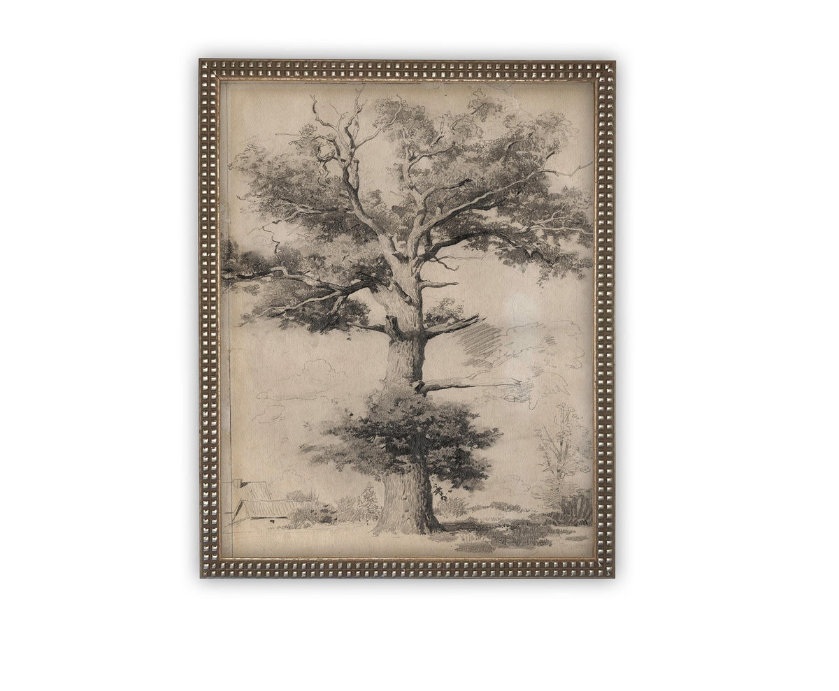 Vintage Framed Canvas Art #BOT-158