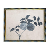 a framed painting of a branch with leaves and two round objects, possibly fruits, against a light background.
