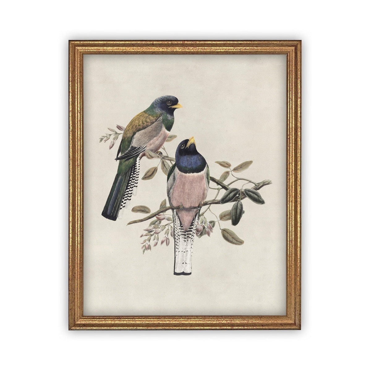 Framed Canvas Art #A-103