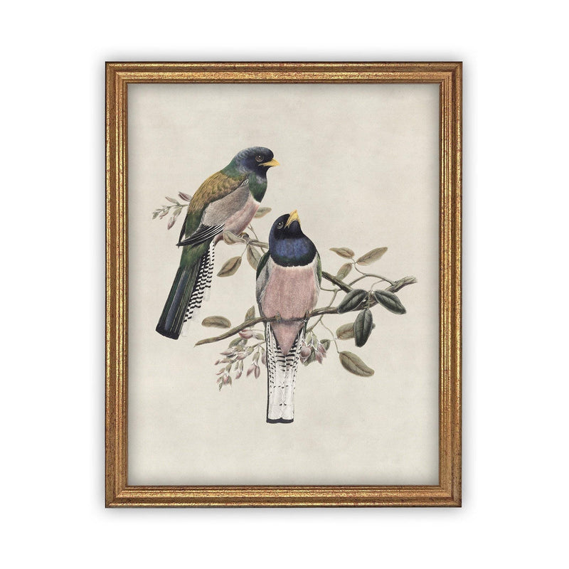 Framed Canvas Art #A-103