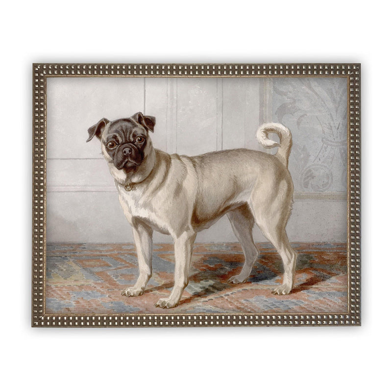 Framed Canvas Art #A-114