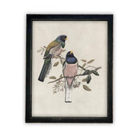 Framed Canvas Art #A-103