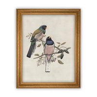 Framed Canvas Art #A-103
